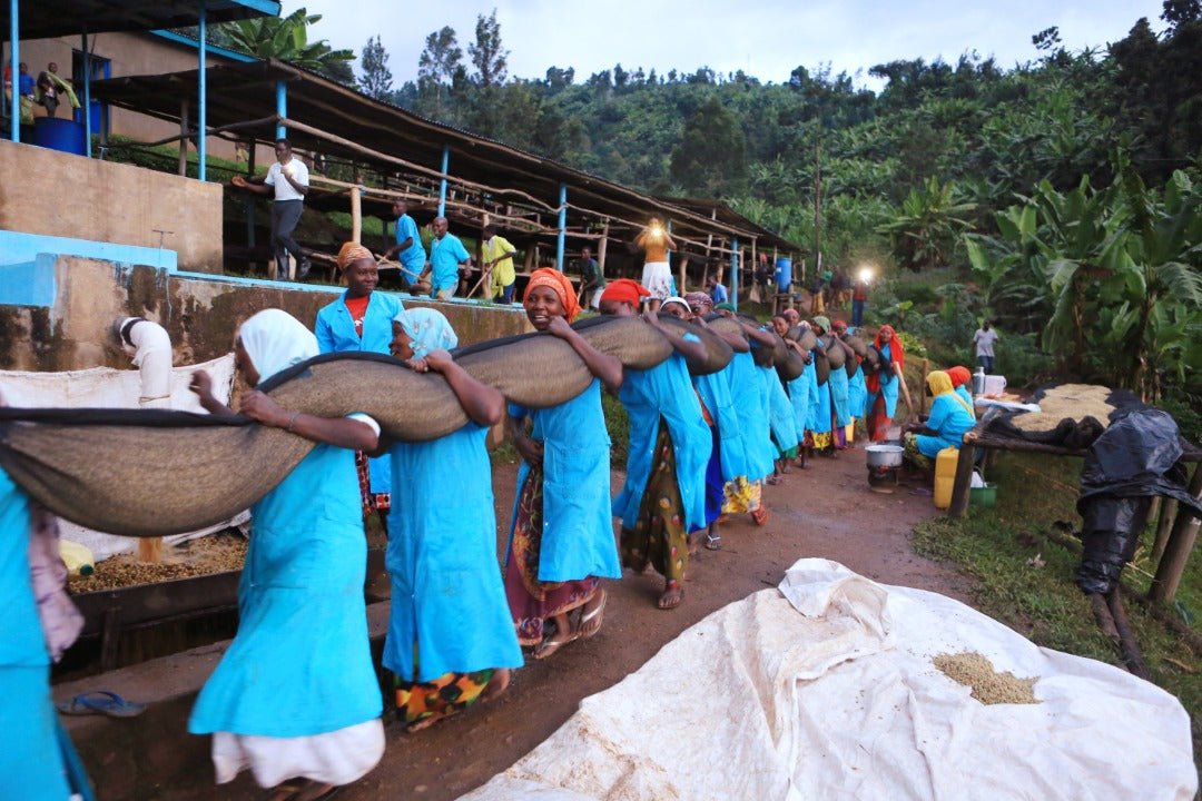 Murakaza - Ruanda - Espresso Filtro (Classics) - BOSCON